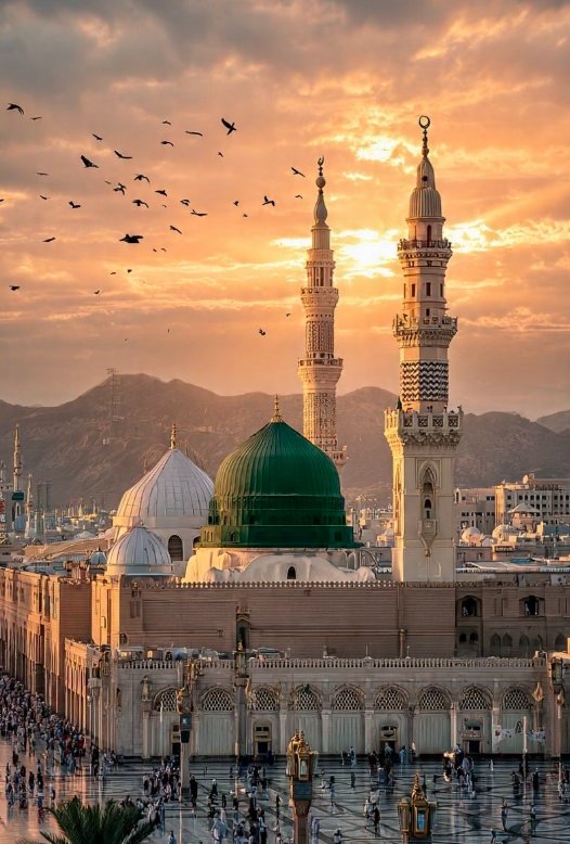 المدينة المنورة